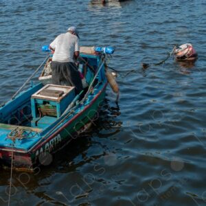 boat in the sea