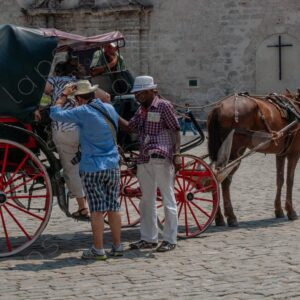 Horse-drawn carriage
