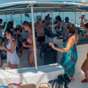 Party on a yacht, with crew and tourists