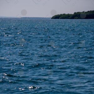 Sea horizon during the day