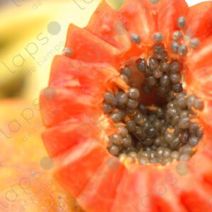 Half cut papaya with orange flesh and seeds