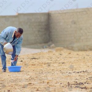 A dairy camel farmer filters milk in Dakhla, Morocco