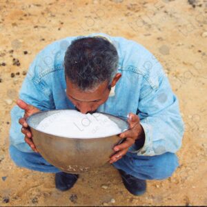 Camel breeder drinks milk in Dakhla, Morocco