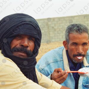 Camel breeders foaming milk, Dakhla, Morocco