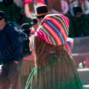 Cholita Wearing Green Skirt