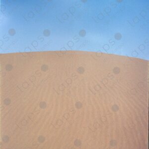 Great dune in the Western Sahara desert