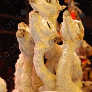Llama fetuses for luck at the fair 4