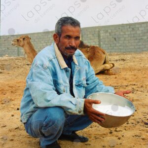 Portrait of a dairy camel breeder in Dakhla, Morocco