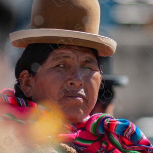 Profile of a Cholita looking aside
