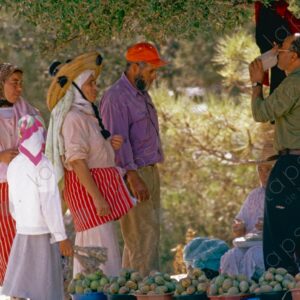 Roadside Prickly Pear Sellers Tetouan