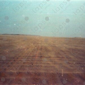 Sandstorm begins in the Western Sahara desert 1