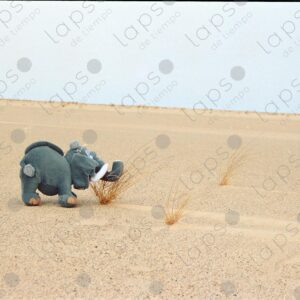 Stuffed elephant in the Western Sahara Desert