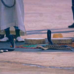 Traditional Snake Charmer Performance in Jemaa el-Fna Square, Marrakech