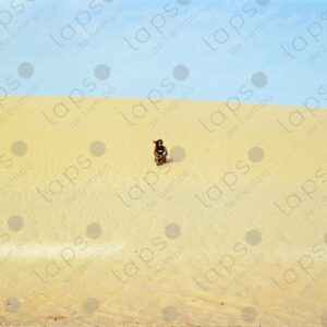 Woman sitting on a dune in Western Sahara 1