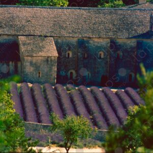 Aerial view of Lavender Abbey of Sénanque
