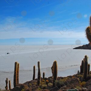 Beach at Isla Incahuasi Salar de Uyuni 3