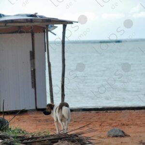 Beach caretaker hut