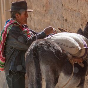 Bolivian Man with his Donkey