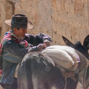 Bolivian Man with his Donkey