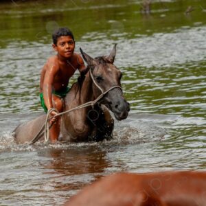 Boy coming out of the river riding a horse 4