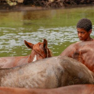 Boys bathing with horses in the river 2