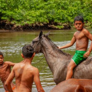 Boys bathing with horses in the river 3