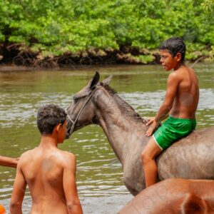 Boys bathing with horses in the river 4