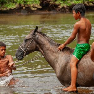 Boys bathing with horses in the river 5
