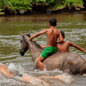 Boys bathing with horses in the river 6