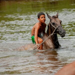 Boys bathing with horses in the river 9