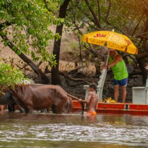 Boys washing horses with a barge in the background 1