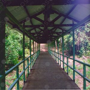 Bridge with wooden roof