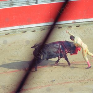 Bullring, San Fermín, bullfighter attacking a bull
