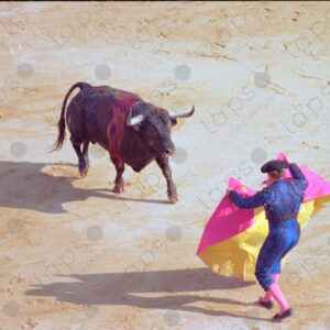 Bullring, San Fermín, bullfighter in blue suit distracts the bull