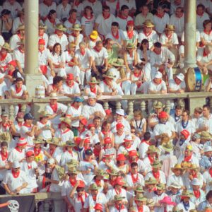 Bullring, San Fermín, crowd celebrating 1