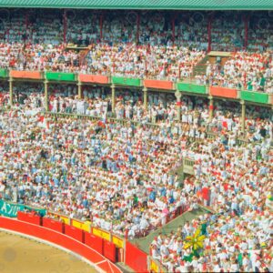 Bullring, San Fermín, crowd celebrating in the stands 1