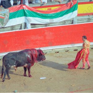 Bullring, bull with stakes and bullfighter
