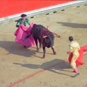 Bullring, bull with sword stuck in its back and bullfighter