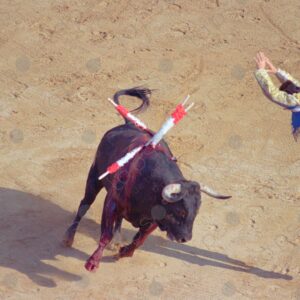 Bullring, bullfighter jumping and stabbing the bull with daggers