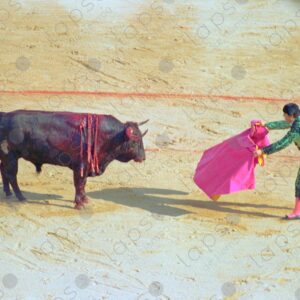 Bullring, bullfighter with blanket and bull 1