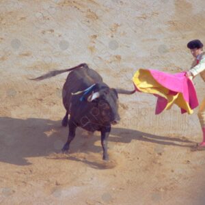 Bullring, bullfighter with blanket and bull 2
