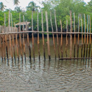 Cage in the river