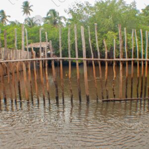 Cage in the river