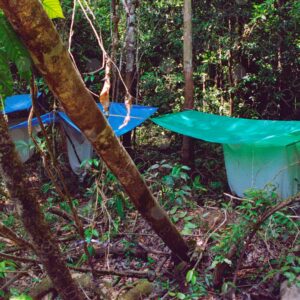 Camp inside the jungle and mosquito nets for sleeping 1