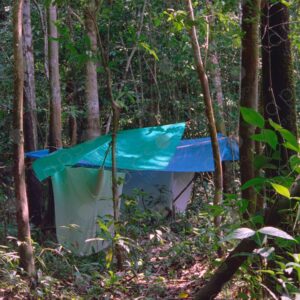 Camp inside the jungle and mosquito nets for sleeping 2