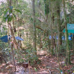 Camp inside the jungle and mosquito nets for sleeping 3