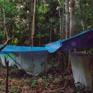 Camp inside the jungle and mosquito nets for sleeping 4
