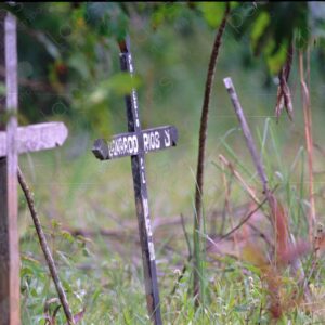 Cemetery crosses