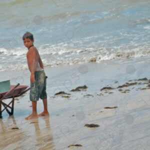 Children with wheelbarrow on the seashore