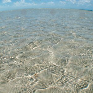 Crystal clear waters during low tide 1